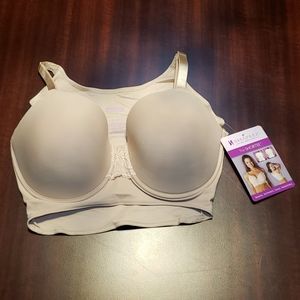 Shapeez The Shortee - Small DD